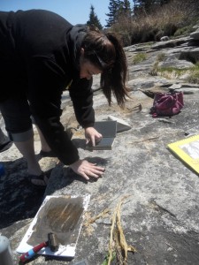 Printmaking on the beach